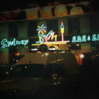 Reclama luminoasa multicolora continand denumirea, sigla, si specificul obiectivului